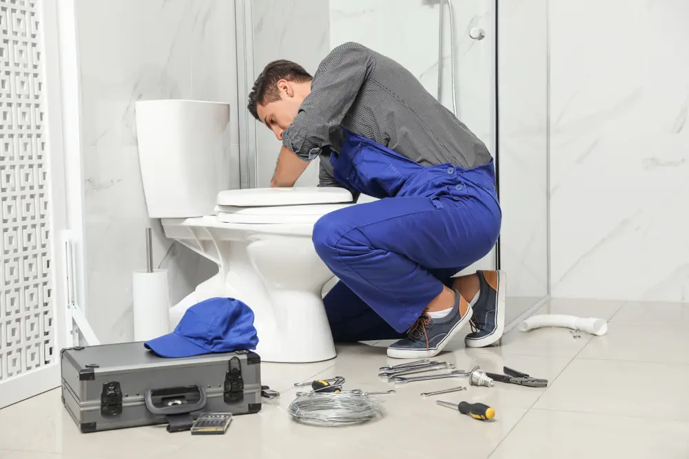 Toilet Installation in Tallulah Falls